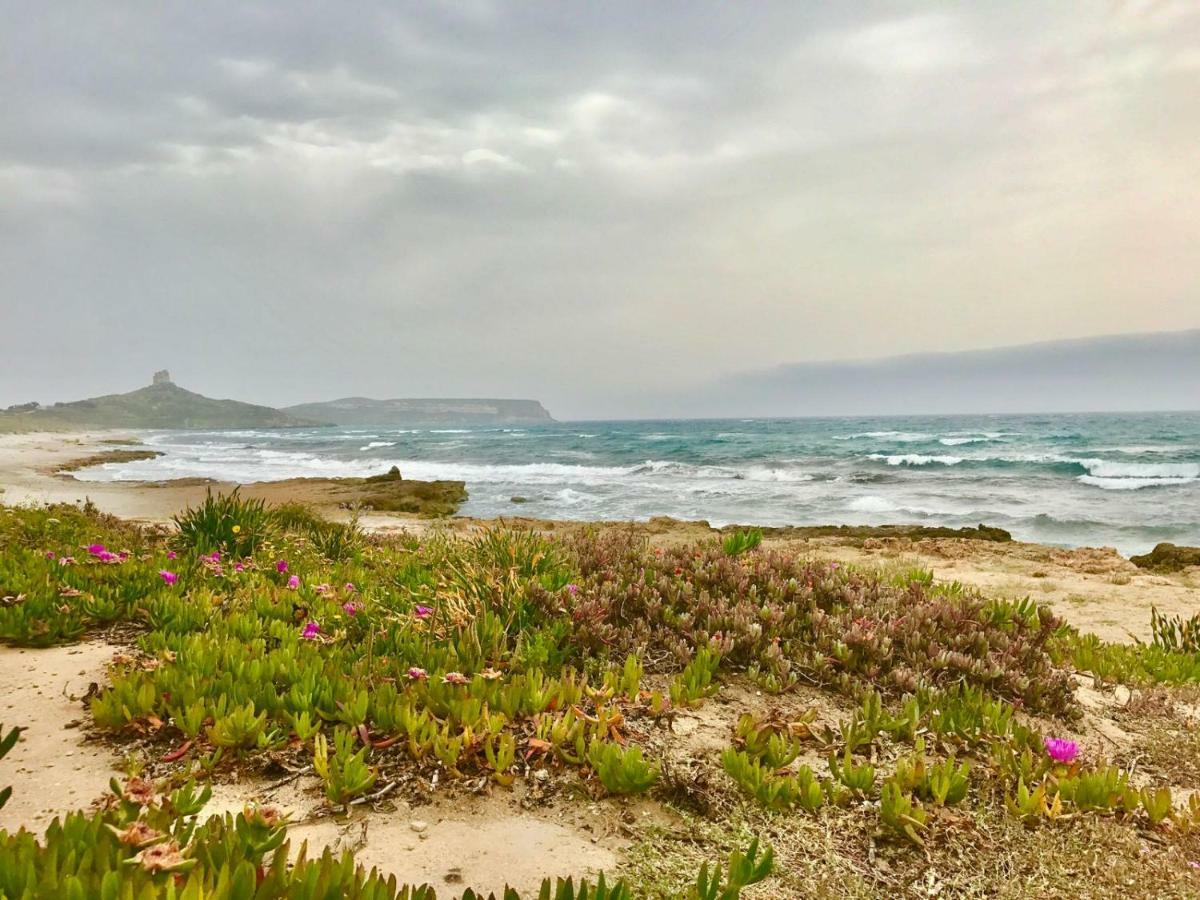 West Sardinia Apartments Càbras Zewnętrze zdjęcie
